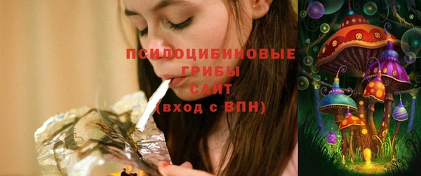 ГАЛЛЮЦИНОГЕННЫЕ ГРИБЫ Алексин