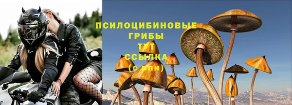 герыч Алзамай