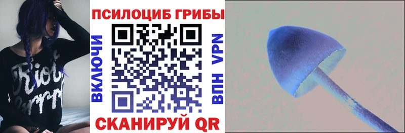 цена наркотик Всеволожск kraken как зайти мориарти телеграм Псилоцибиновые грибы Magic Shrooms