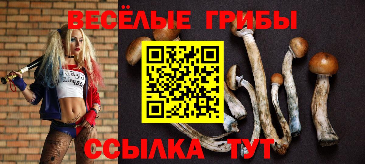 Всеволожск  Галлюциногенные грибы MAGIC MUSHROOMS  Вход с VPN 